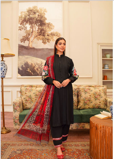 D-6 Embroidered Stone Linen Suit with Chiffon Dupatta - 3 Piece Set