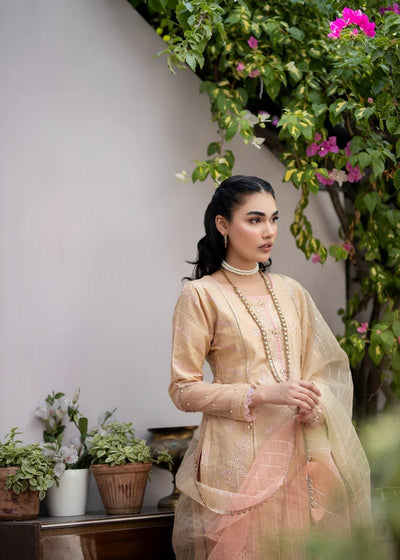 Luxury Embroidered Cotton Festive Edition Beige AL-857