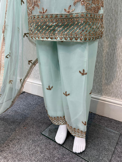 Luxury Festive Chiffon Plazzo bottom Collection L- PISTA  DP-9