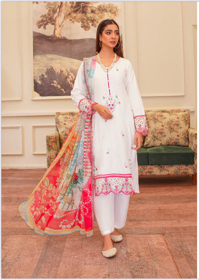 D-2 Embroidered Stone Linen Suit with Chiffon Dupatta - 3 Piece Set