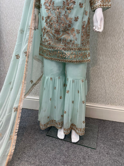 Luxury Festive Chiffon Gharara  Collection Pista S-4