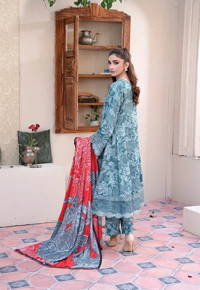 D-06  Luxury Linen Frock With Printed  Dupatta