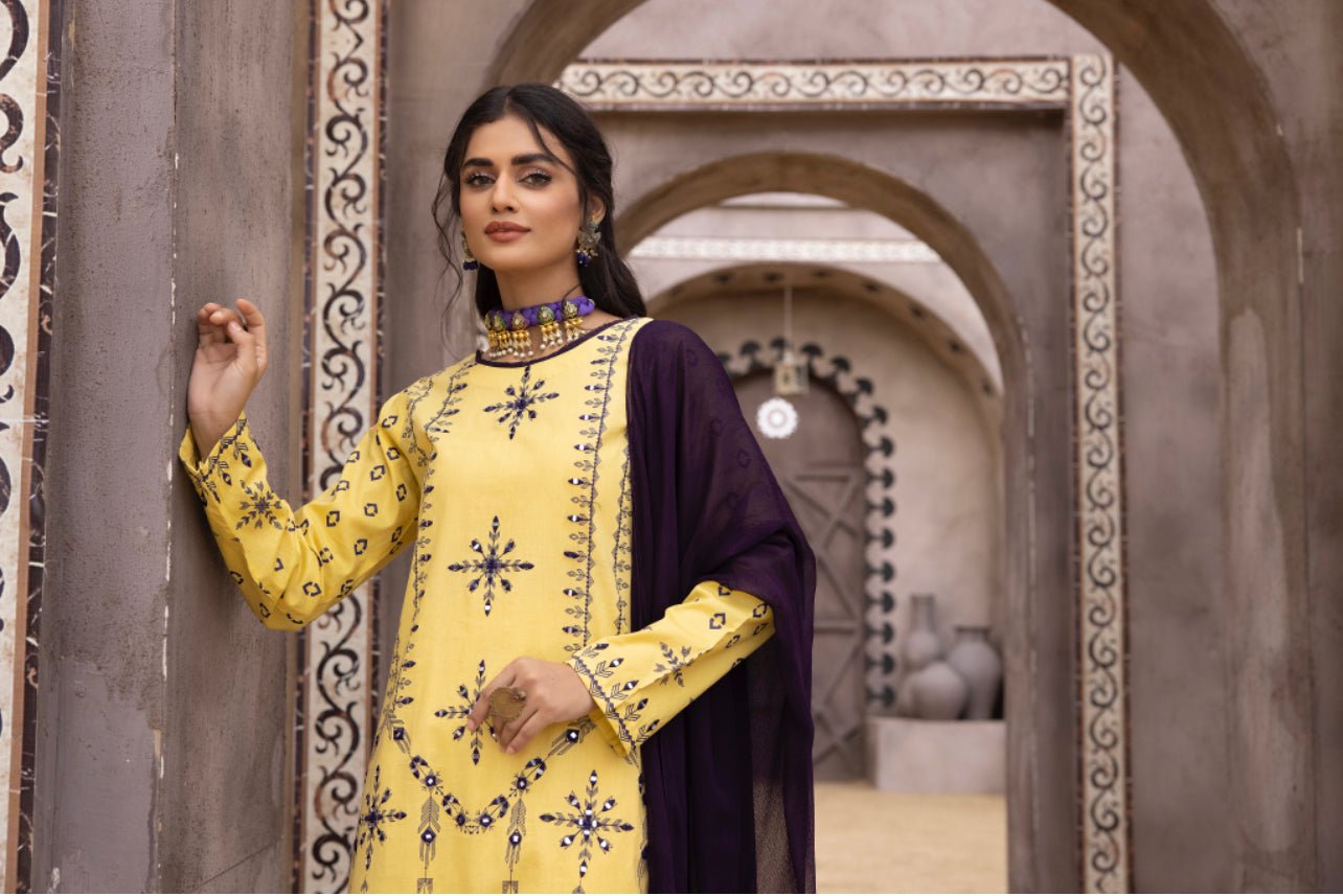 3 pc Mirror Embroidered Readymade Semi-Formal Suit Eid Collection 2023 Media 4 of 4